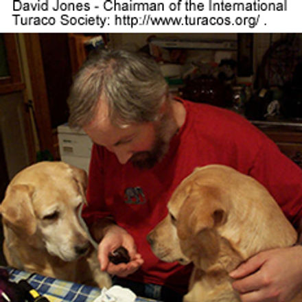 David Jones, Chairman of the International Turaco Society