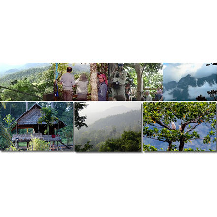Eco Tours